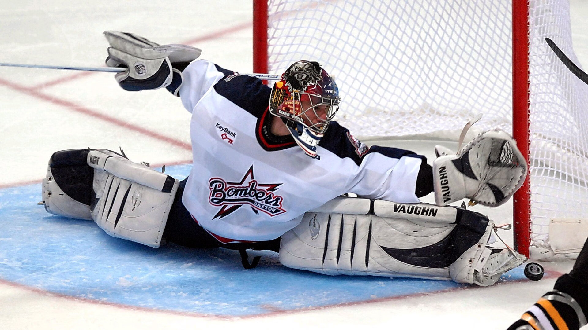 开云体育官网app-戴维·帕特森的快速反击与精准传球，助袋鼠队全面制胜，戴维a帕特森