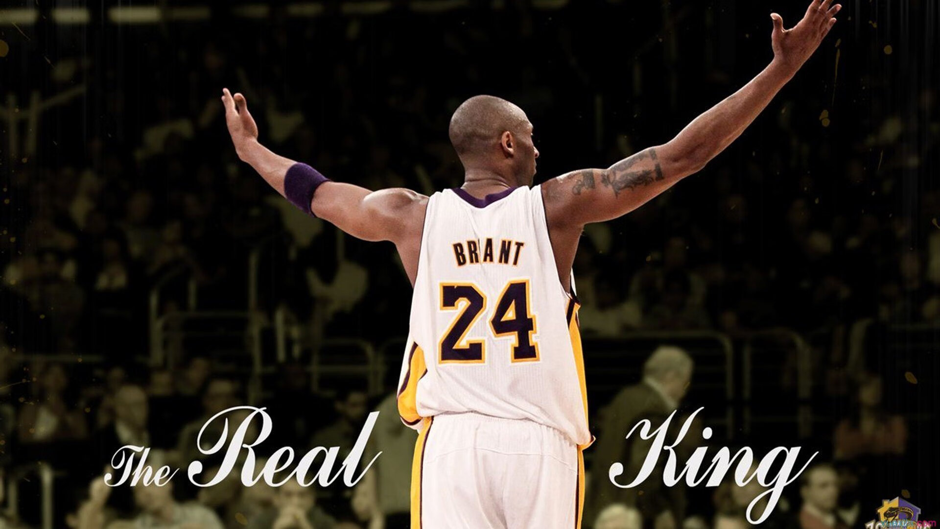 森林狼年轻阵容上限成为媒体关注点,森林狼的阵容